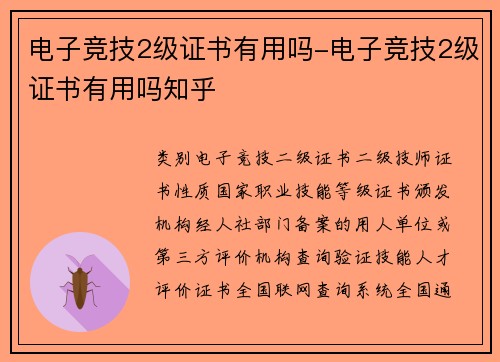 电子竞技2级证书有用吗-电子竞技2级证书有用吗知乎