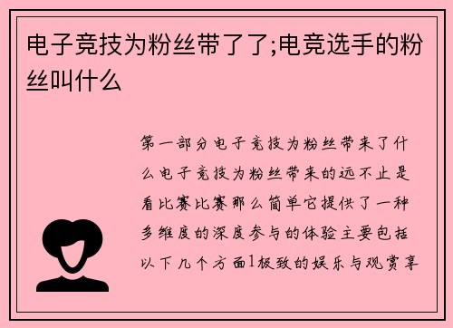 电子竞技为粉丝带了了;电竞选手的粉丝叫什么